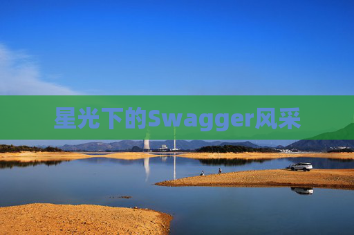 星光下的Swagger风采